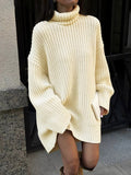 Poshoot Minimalism Turtleneck Short Sweater Dress