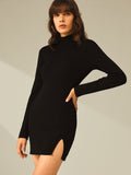 Poshoot Turtleneck Long Sleeve Mini Dress with Slit and Ribbed Paneling