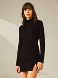 Poshoot Turtleneck Long Sleeve Mini Dress with Slit and Ribbed Paneling