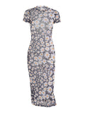 Poshoot Vintage Mesh Slim Maxi Dress with Daisy Print