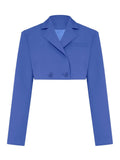 Poshoot Cropped Blazer And Pleated Mini Skirt Set