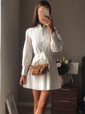 Poshoot Ansel Lace Mini Dress