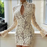 Poshoot Lace Hollow Bodycon Dress Women's Fashion Sexy Lace Hip Cover Long Sleeve Party Dress High Waist Patchwork Retro Dress