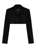 Poshoot Cropped Blazer And Pleated Mini Skirt Set