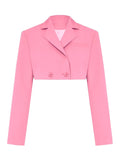 Poshoot Cropped Blazer And Pleated Mini Skirt Set