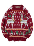 Poshoot Vintage Crew Neck Sweater with Christmas Deer Print