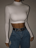 Poshoot Turtleneck Long Sleeve Crop Top