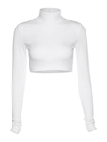 Poshoot Turtleneck Long Sleeve Crop Top