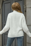 POSHOOT  AUTUMN OUTFITS    Turtle Neck Long Sleeve Pullover Sweater